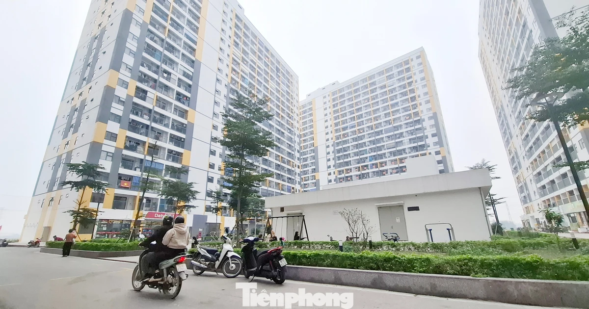 Bắc Ninh mở bán hơn 1.600 căn nhà ở xã hội, giá từ hơn 15 triệu đồng/m²