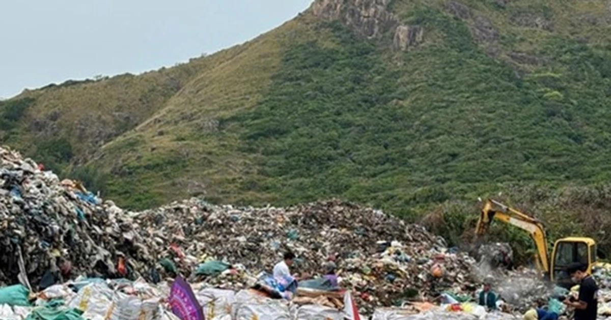 Bãi bỏ quyết định chuyển 1,92 ha rừng Côn Đảo làm nhà máy xử lý rác