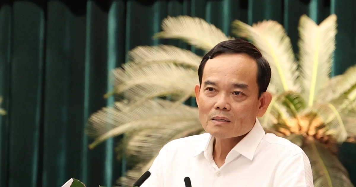 Bí thư Thành ủy TPHCM Trần Lưu Quang: 'Chúng ta không có đường lùi...'