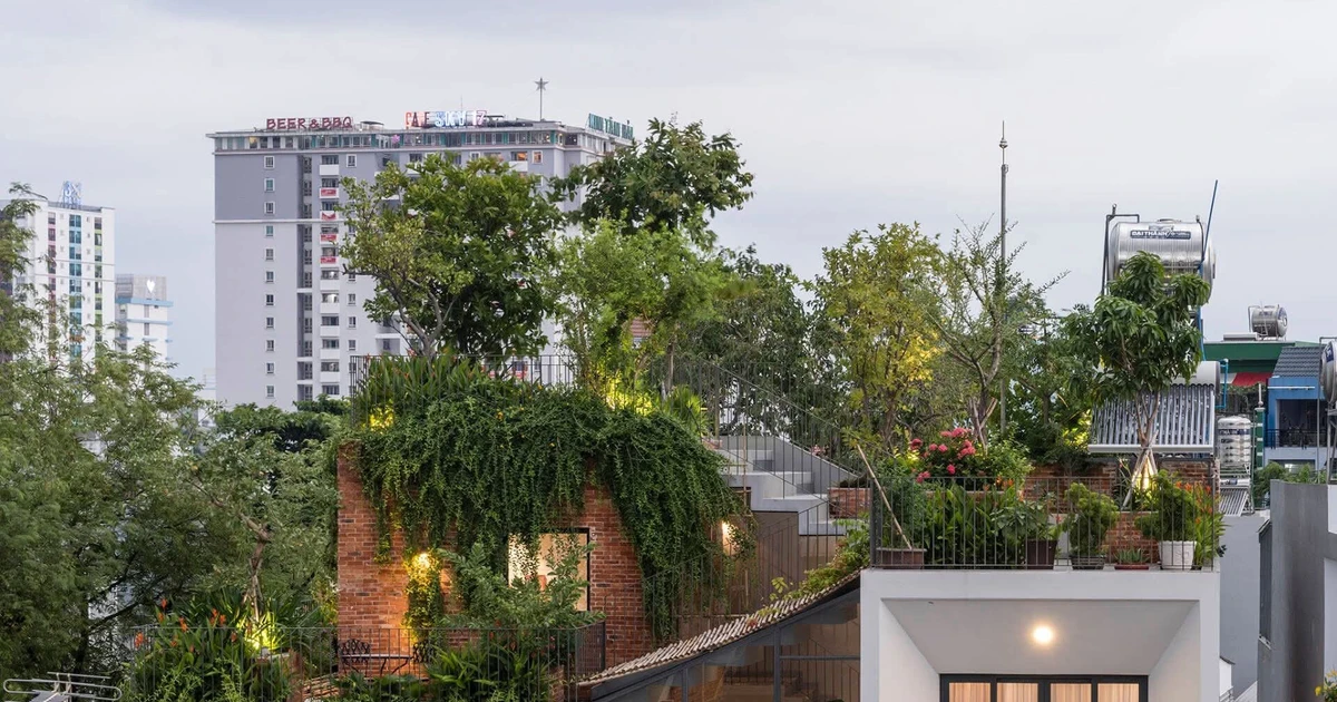 'Biến' sân thượng thành công viên tư gia