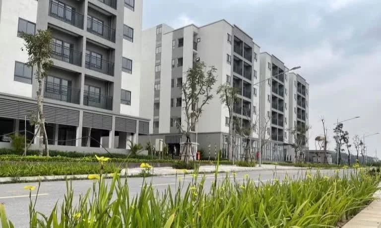 Đề nghị cắt bỏ khâu 'thẩm định và ra quyết định miễn tiền sử dụng đất' đối NƠXH
