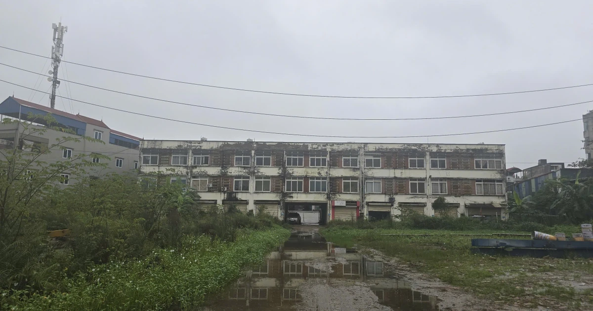 Địa phương đang đặt mục tiêu lên thành phố trực thuộc Trung ương sắp có khu thương mại tự do 5.000 ha, gắn với sân bay 5 sao top 10 thế giới