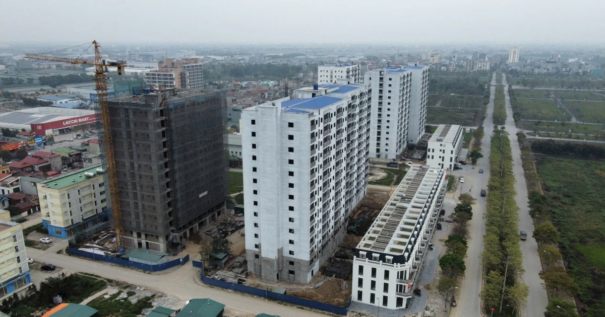 Đổi việc trước khi mua nhà ở xã hội, có phải xin lại giấy xác nhận thu nhập?