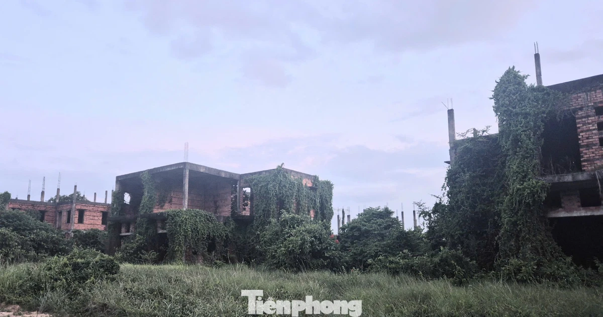 Dự án nghìn tỷ 'đắp chiếu', siêu đô thị thành... vườn sắn