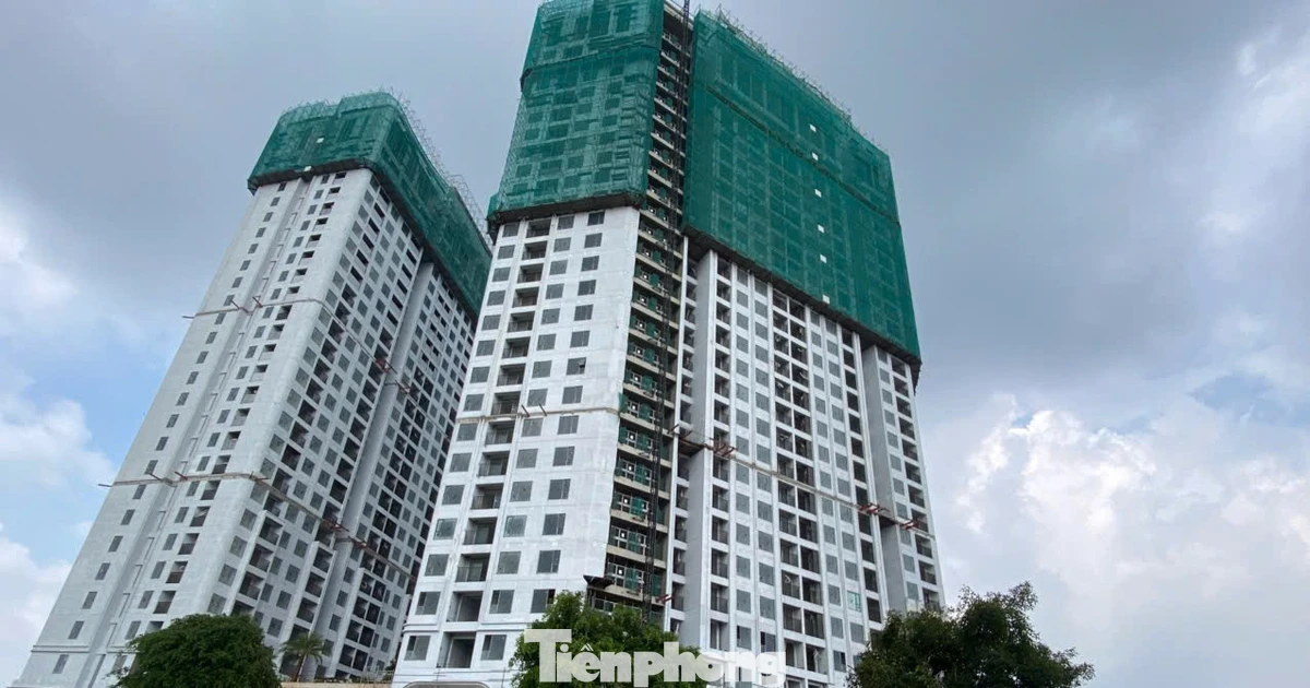 Giá nhà neo cao, doanh nghiệp 'chăm khách' thế nào?