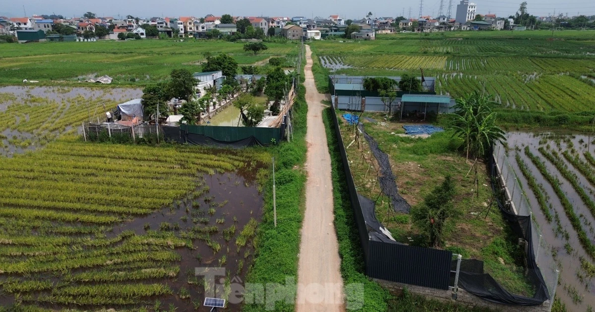 Gỡ vướng mắc chuyển mục đích sử dụng đất ở