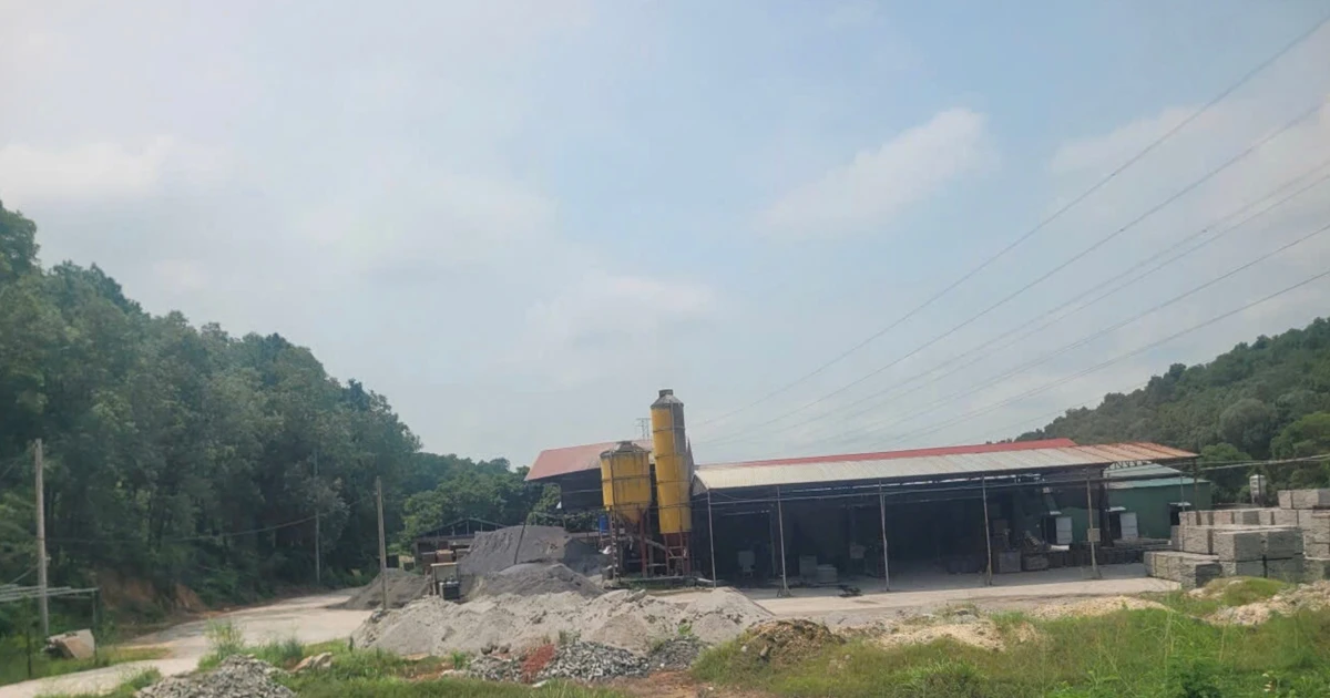 Hà Nội tháo dỡ hàng loạt nhà gỗ, nhà dạng container trên đất rừng
