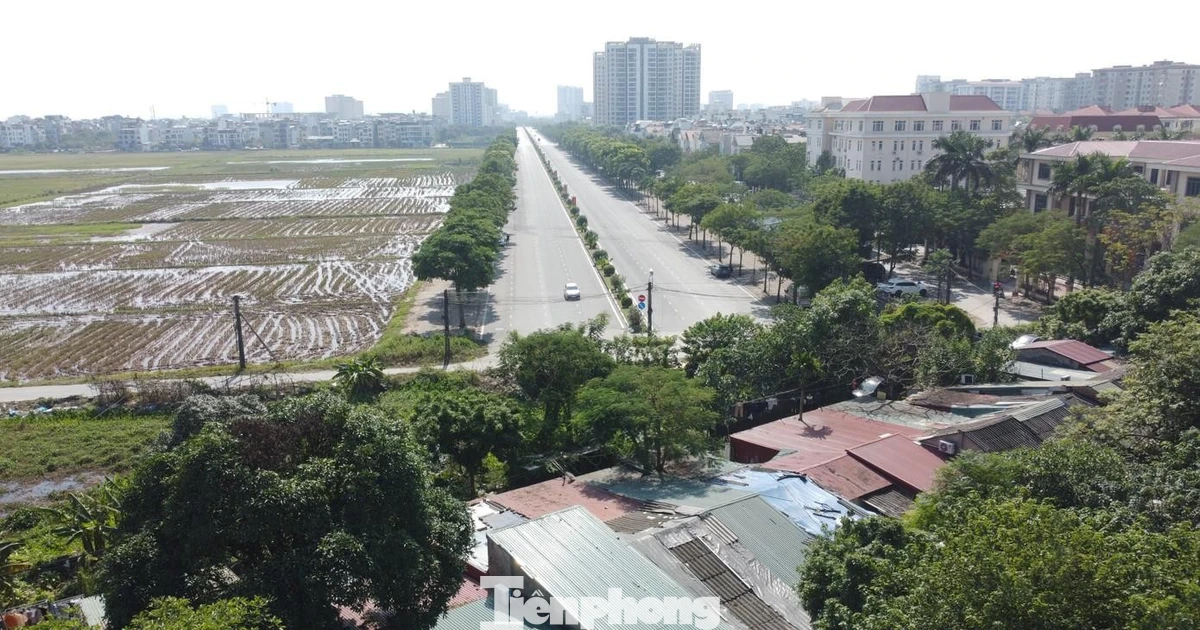 Hà Nội xây 1.166 căn hộ cho thuê tại phường Việt Hưng