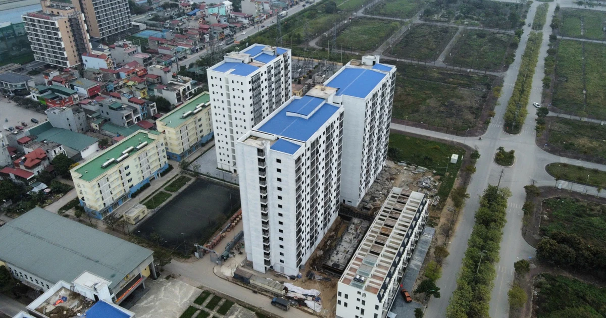 Hơn 190.000 căn nhà cho thuê: Cách nào chuyển tư duy 'sở hữu' sang 'tiếp cận chỗ ở'?