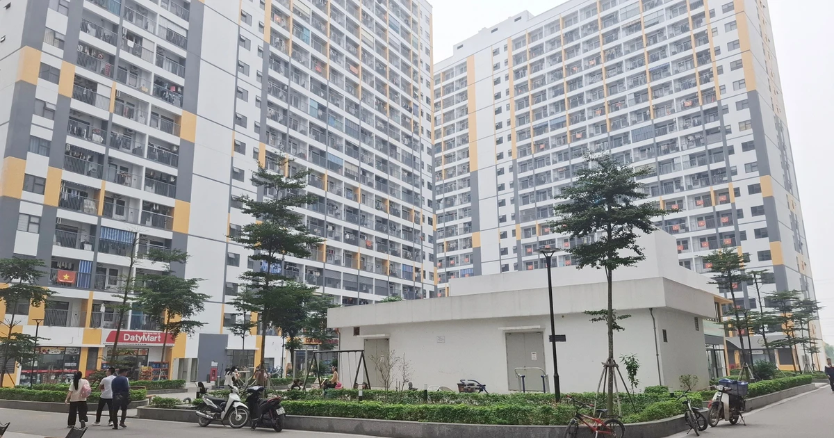 Mở bán 2.000 căn nhà ở xã hội tại Bắc Ninh, giá hơn 12 triệu đồng/m²