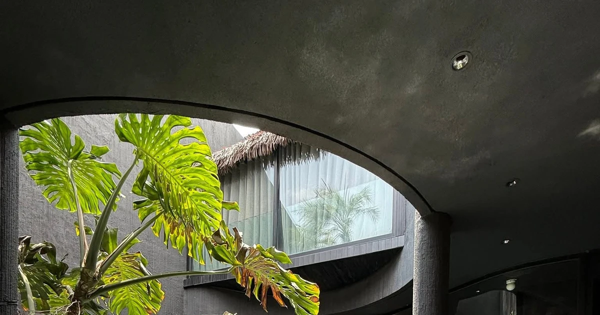 Ngôi nhà tông màu đen như 'ốc đảo' giữa lòng thành phố