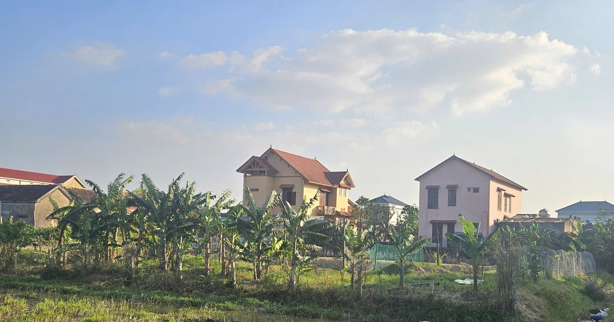 Quảng Trị: Sẽ thu hồi 1.500m² đất cho gia đình nguyên bí thư phường thuê 500.000 đồng/năm