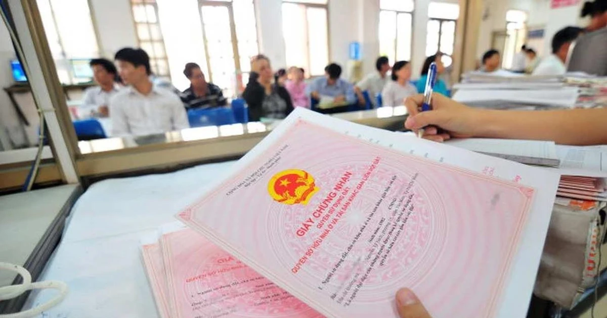 Tâm lý sợ sai khiến việc cấp sổ đỏ lần đầu ở TPHCM quá ít