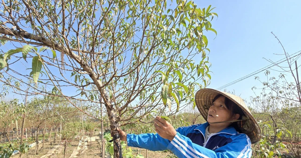 Trục đại lộ cảnh quan sông Hồng: Chỗ đứng nào cho làng nghề truyền thống?