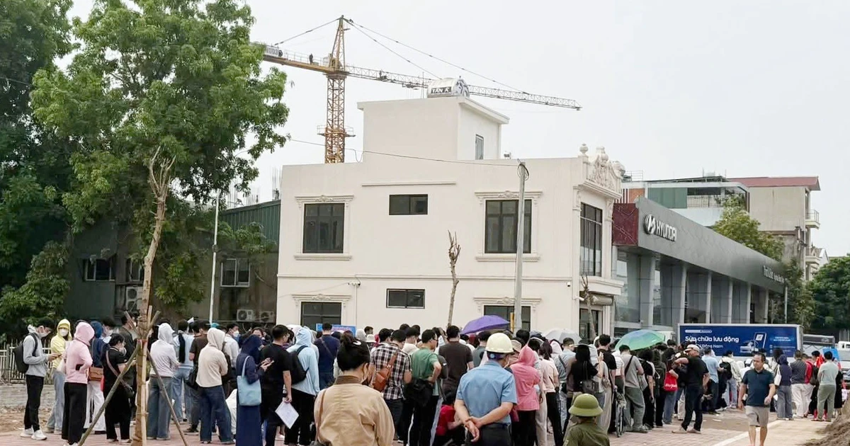 Tự ý 'phân lô bán mộ' hơn 21.000 m² đất nông nghiệp