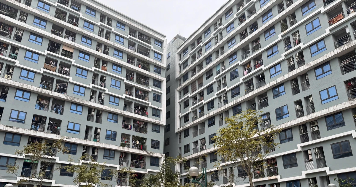 Vợ chồng có tổng thu nhập không quá 50 triệu đồng mỗi tháng sẽ được mua nhà ở xã hội