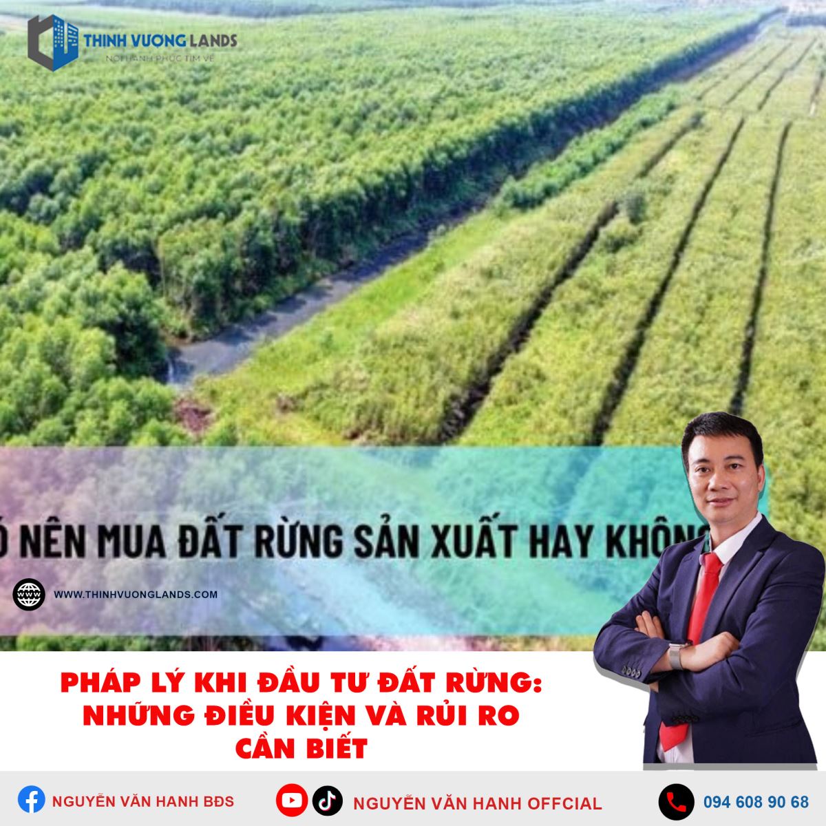 Pháp lý khi đầu tư đất rừng: Những điều kiện và rủi ro cần biết